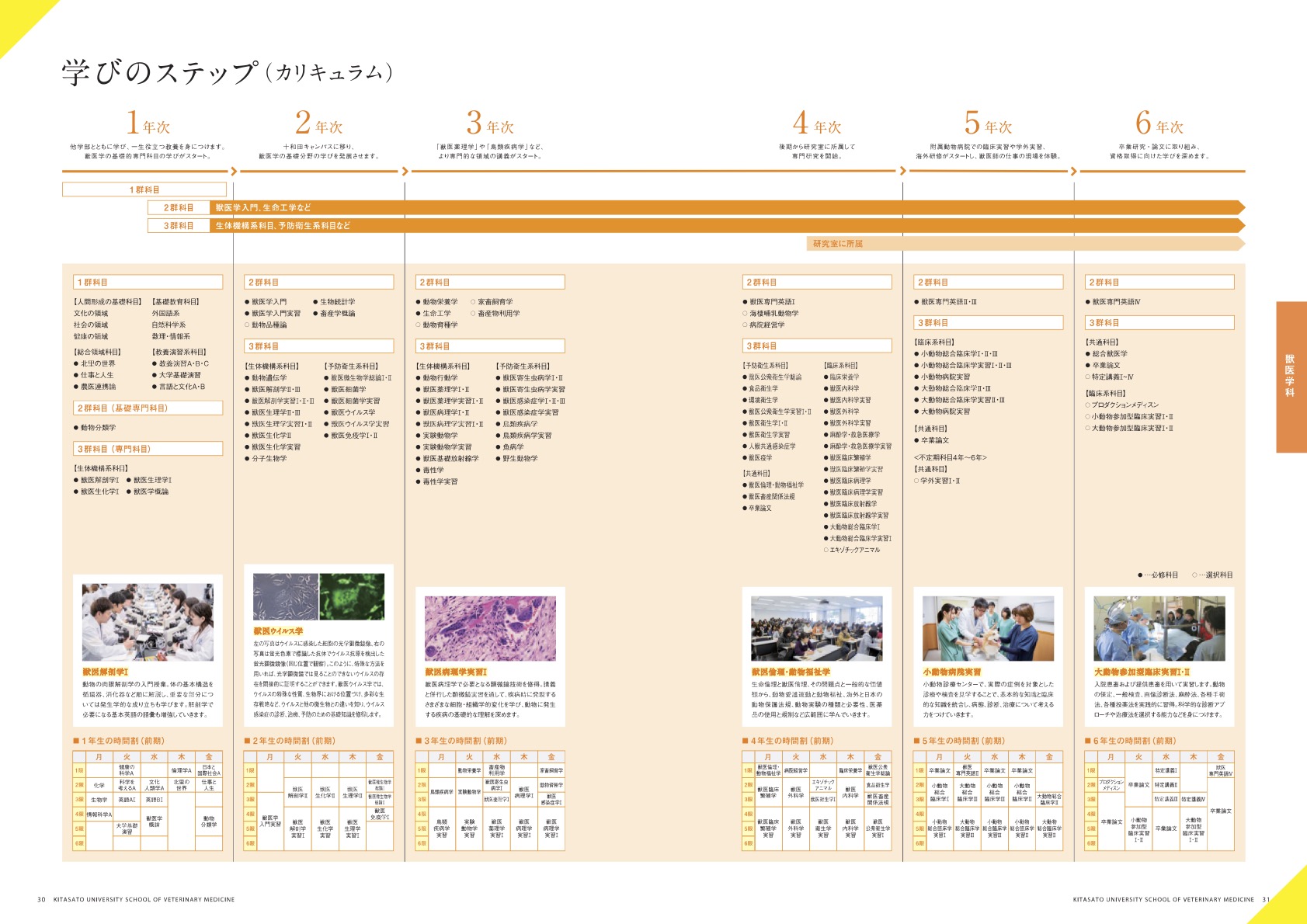 獣医学科 - 北里大学獣医学部
